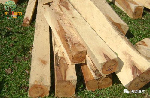 中國(guó)木材商采購(gòu)熱潮加劇越南木材業(yè)成本壓力