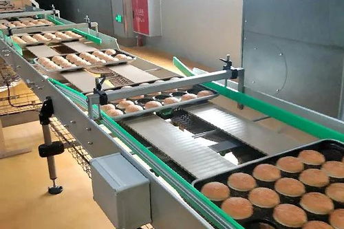 囍——恭祝四川食品廠十萬級凈化車間成功投產(chǎn)，邁向綠色健康新紀(jì)元